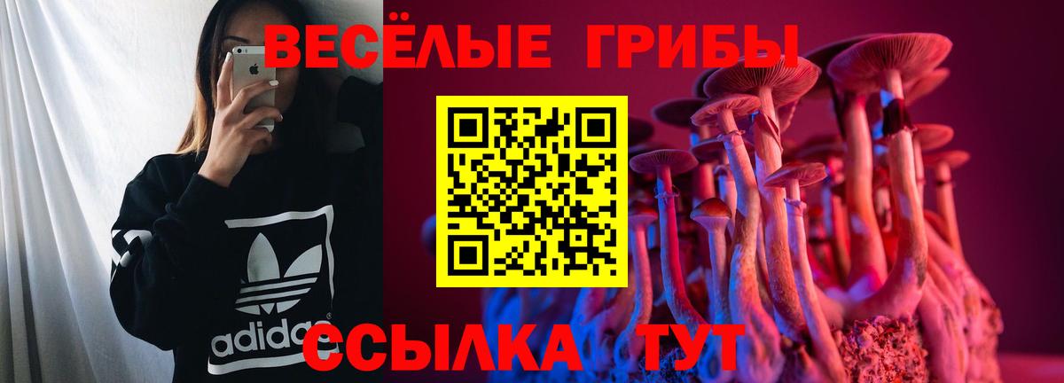 Псилоцибиновые грибы GOLDEN TEACHER  Вход с VPN  Барнаул 